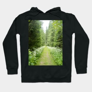 View from Bucegi mountains, Romania, Bucegi National Park Hoodie